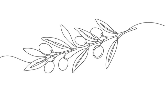 Minimalist Continuous One Line Drawing of an Elegant Olive Branch with Fresh Olives and Leaves, Abstract Botanical Illustration ceasefire 