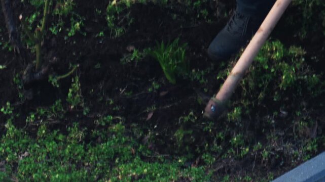 Close up of a person cutting grass with a hoe in a garden