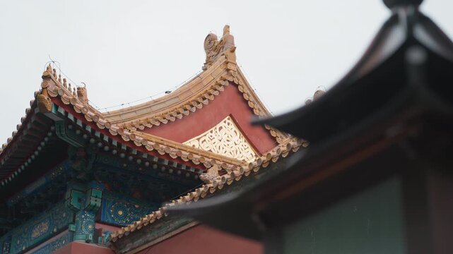 Ornate temple roof eaves in drizzle, closeup of gilded pagoda apex and dragon carvings, raindrops tracing lacquered tiles against pale overcast sky, artisan conservator photographing details, tranquil