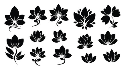 Obraz premium A collection of lotus flowers and leaves
