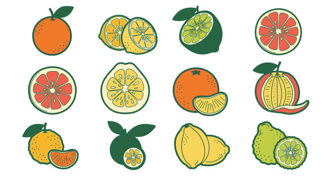 Variety of citrus fruits on display 1.