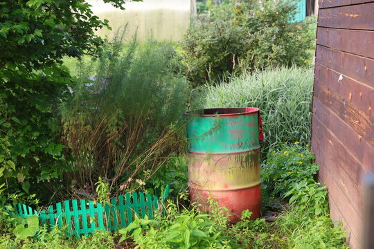 old garden