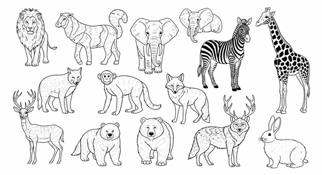 Collection of various wild animals line art 1.