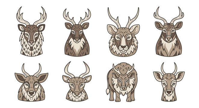 Deer heads with various antlers.