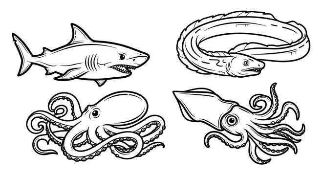 Marine animals squid shark octopus eel.