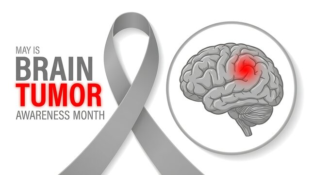 May is brain tumor awareness month gray ribbon and illustration of human brain with red spot symbolizing tumor and disease awareness concept.