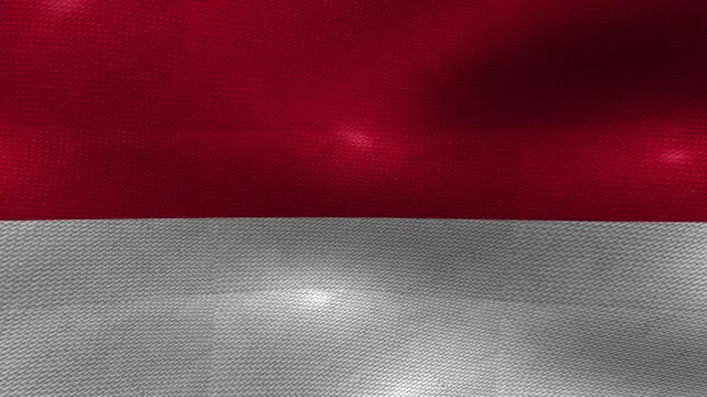 Monaco Monegasque Flag Textured Background Waving
