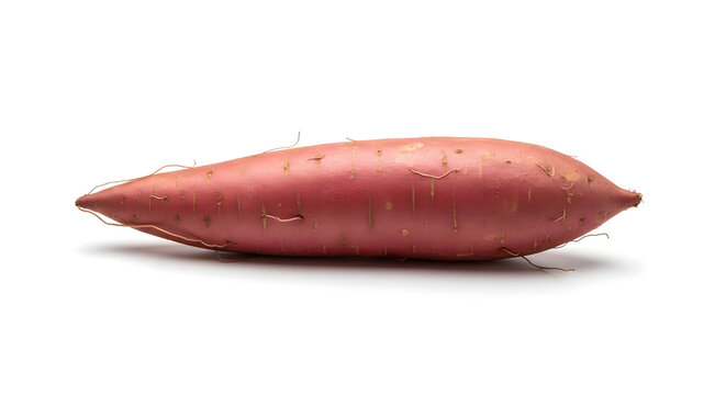 Single sweet potato raw root vegetable isolated on white background healthy food ingredient