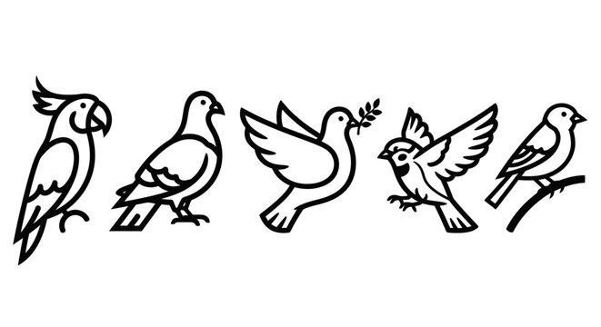 Five birds on a line drawing.