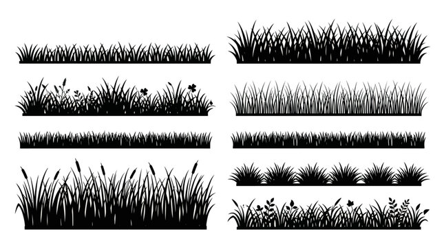 Set of Black Grass Silhouettes Collection for Meadow Borders and Field Landscapes Background Design Elements Including Wild Flowers Reeds and Garden Plants Icons