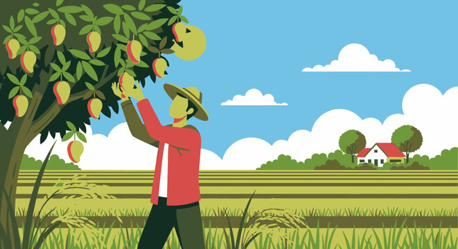 Man picking fruit from tree branch.
