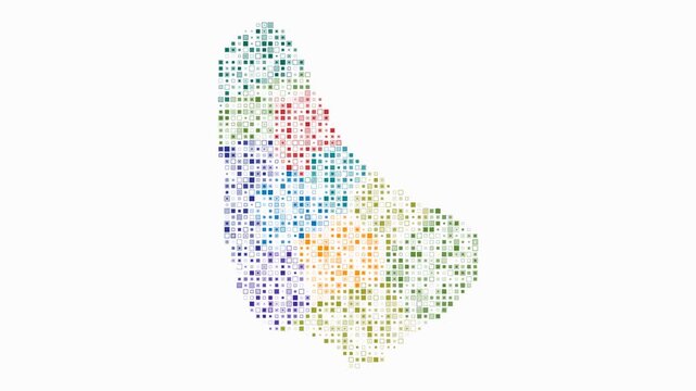 Barbados map animation. Shape of the country with pulsating colored dots. Small size square blocks. Digital style Barbados map on white background. Abstract video.
