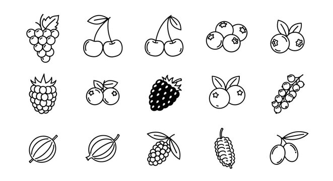 Variety of Fruit Illustrations.