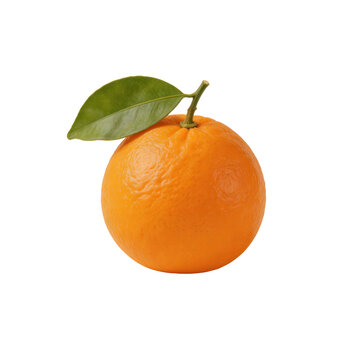 Fresh navel orange fruit with green leaf stem isolated on white background