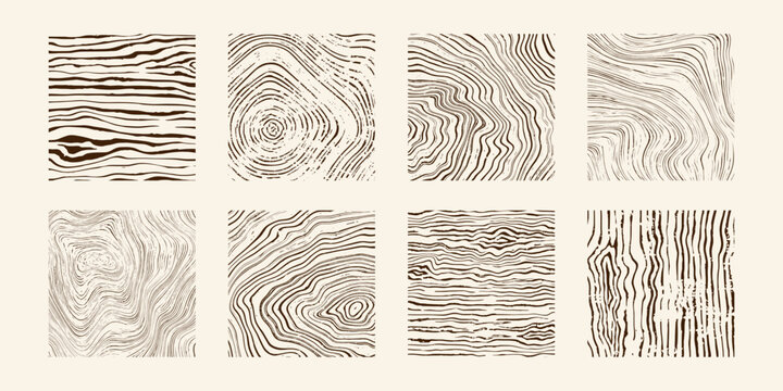 Wood tree pattern texture icon, trunk with annual square line of age pictogram, set vector design