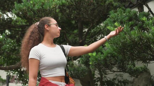 Woman reaching toward bonsai tree canopy with open hand, sequence shows exploratory gestures and upward gaze, casual visitor and amateur botanist inspects branches and leaves, curlyhaired woman