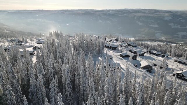 Scenic aerial of an snowy alpine resort in Aurdal, Valdres, Scandinavian wooden lodges nestled in a dense winter pine forest with sun shinning, Norway.