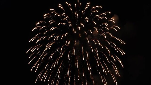 A single, bright white chrysanthemum firework bursts against a dark night sky.
