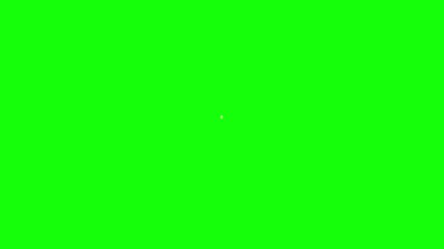 Abstract 3D Succulent Plant Animation on Green Screen Background.