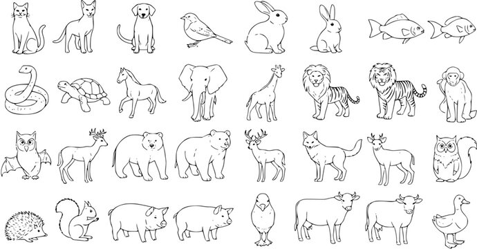 Diverse animal collection: black and white line art illustrations of pets, farm, zoo, and wild animals. Includes mammals, birds, reptiles, fish. Hand-drawn cartoon outlines.