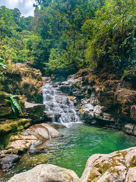 Small Tropical Waterfall Flowing into Emerald Natural Pool Surrounded by Lush Jungle