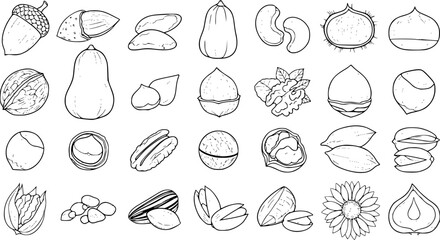 Outline Hand-Drawn Set: Healthy Nuts, Seeds, and Plant Produce Collection. Diverse Botanical Illustrations for Natural Food, Organic Snacks, and Ingredients. © naila