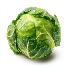 Obraz premium Single fresh green Brussels sprout on a clean white background