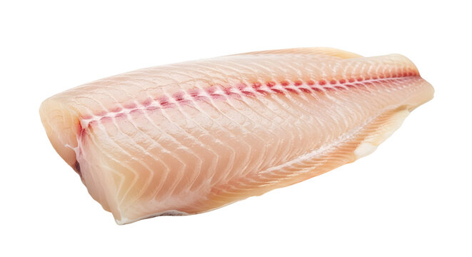 Fresh raw white fish fillet, boneless cod or haddock loin on white background, healthy seafood protein for cooking and gourmet recipes