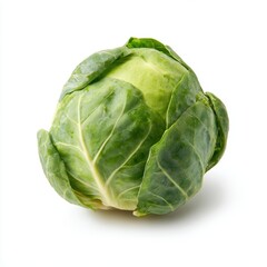Fototapeta premium Single fresh green Brussels sprout with individual leaves isolated on white ground