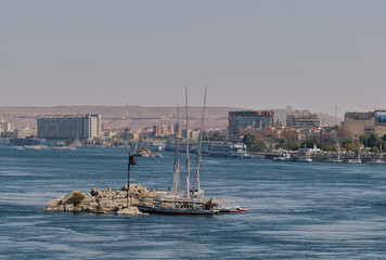 Fototapeta premium Sailboats Moored by a Small Island on the Nile in Aswan