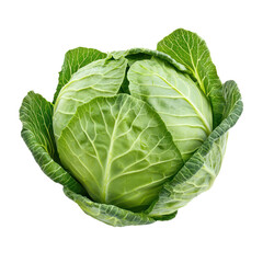 Obraz premium Cabbage heads or leaves boiled or steamed until tender, commonly served as a side dish. full length isolate on transparent background