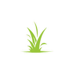 Fototapeta premium Green grass logo