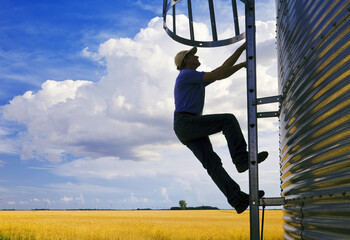 a farmer climbs a grain storage bin, wheat field and cumulonimbus cloud buildup in the background © Dave