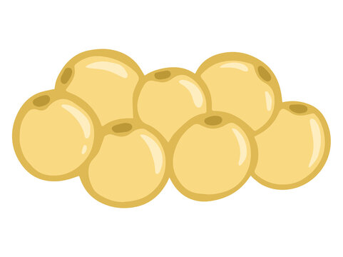 Fat Cell Anatomy Illustration
