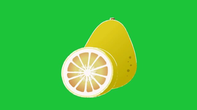Lemon fruit with slice on green background fresh citrus animation loop bright minimal design