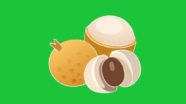 longan fruit animation isolated on green background tropical fresh organic food loop motion
