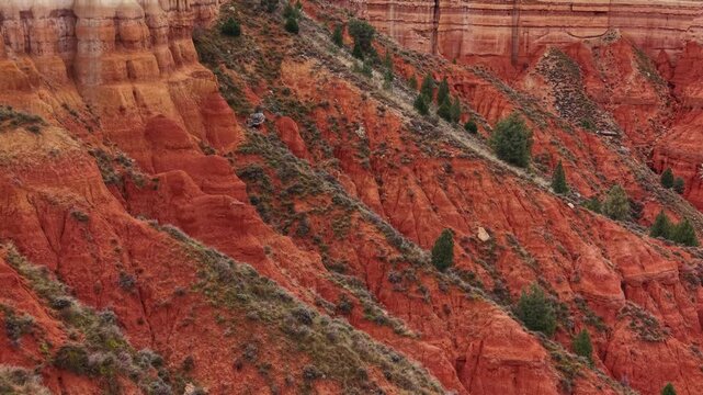 Layered red sandstone canyon walls with sparse juniper trees clinging to eroded slopes in a dramatic American Southwest landscape