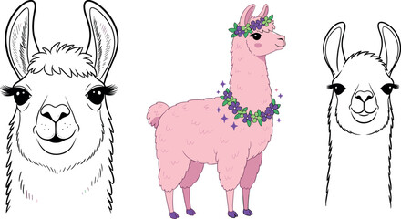 Cute llama alpaca character set with floral decoration cartoon and outline styles vector illustration isolated background © MstTanzila