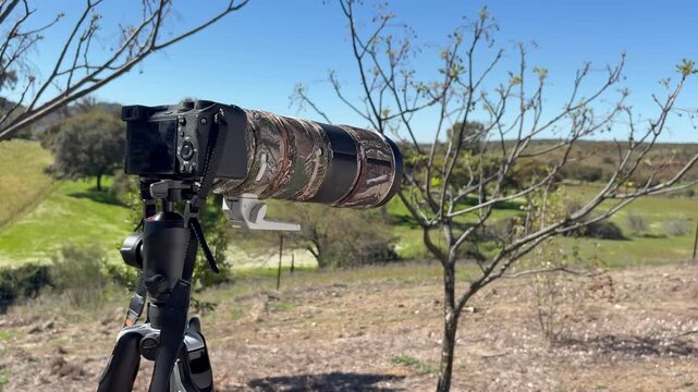 Telephoto camera setup stands ready for birdwatching in open field.
