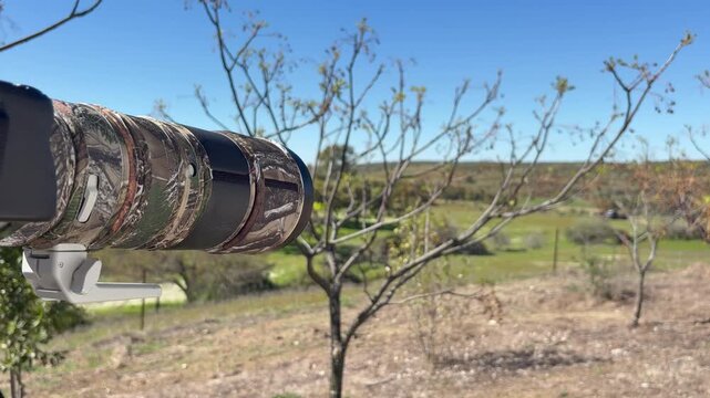 Telephoto wildlife camera rests on tripod in sunny outdoor setting.