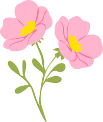 Obraz premium bouquet of pink flowers