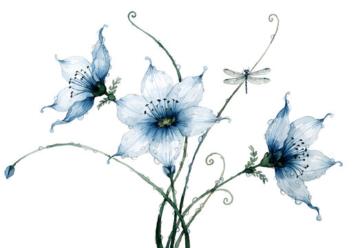 Delicate blue lilies with water droplets and a dragonfly against a dark background