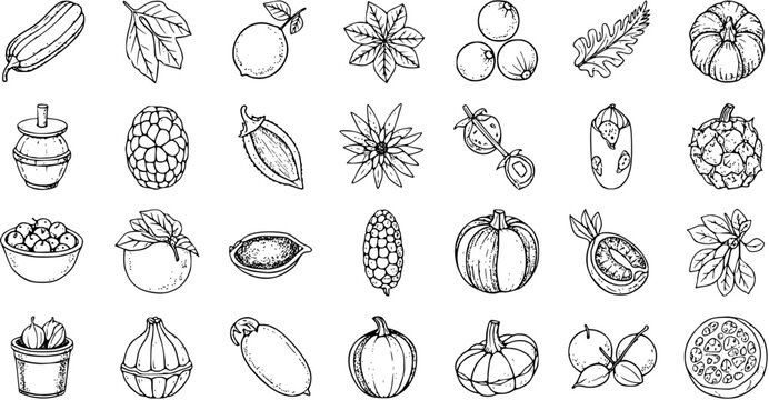 Food and Agriculture Black  White Line Art Icons Set: Hand-drawn Sketch Doodles of Fresh Fruits, Vegetables, and Plant Elements