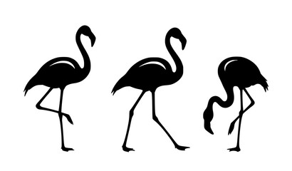 Fototapeta premium Flamingo silhouette set vector with multiple poses black tropical bird minimal collection
