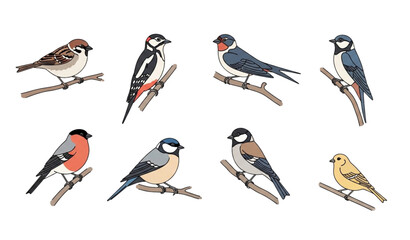 Minimalist hand-drawn birds vector set perched on branches in natural habitat © SobujChandra