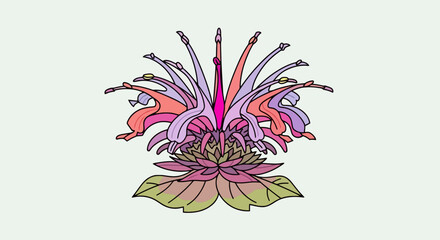Graphic illustration of a bergamot flower with intricate details set against a neutral backdrop  delicate floral botanical art © Siti