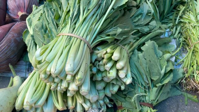 Fresh green mustard greens or Choy Sum at traditional market