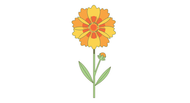 Illustration of a vibrant calendula flower with an orange center and yellow petals set against a clean white background isolated for design use