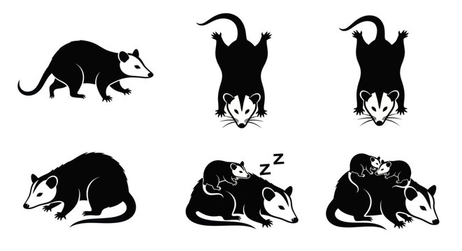Opossum and Baby Opossums Silhouettes - Various Poses