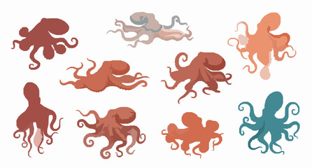 Obraz premium Octopus species vector set with flat marine animals isolated on white background for educational illustration